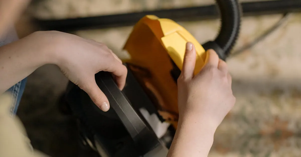 How to Remove Pet Hair from Car Upholstery Effortlessly