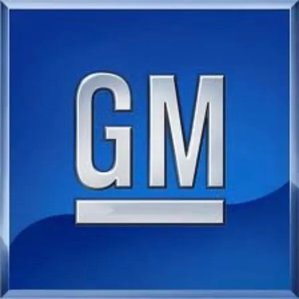 GM Sealant - 19333512