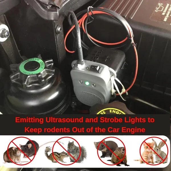 Angveirt Rodent Prevention Repellent for Car Engine Ultra Sonic Rat Mouse Deterrent Keep Mice Out of Vehicle Under Hood Rodent Electronic Repeller Wires RV Protection for 12V 24V Car Battery, 1 Pack