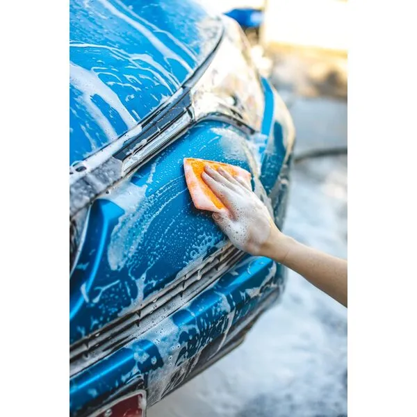The Rag Company - Jersey Bug Scrubber Pads - Terry Weave, Easily and Safely Trap Bug Splatter in Sponge, Safe on All Finishes, 4in x 6in, Blue (5-Pack)