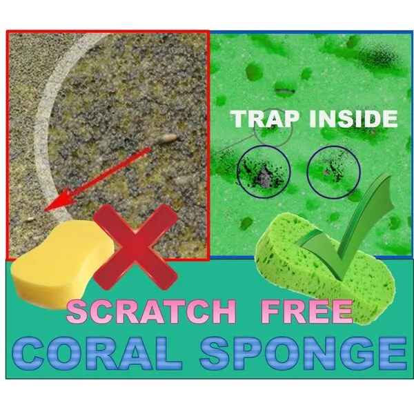 Large Soft Touch Coral Sponges, 5pack，Non-Scratch, High Foam, for Ultimate Washing Car, Bike, Boat or Household Cleaning Needs (Green)